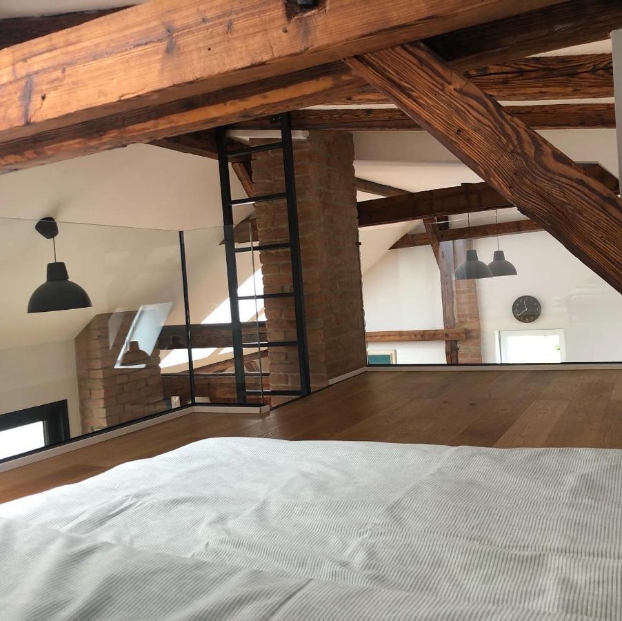 Loft V Historickom Centre Trenčín Kültér fotó